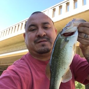 Meet your Posher, Emilio